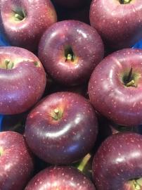 2020年度 信州産 蜜入り系新品種りんご シナノホッペ 訳あり自家用ランク 約2.7～3kg 5〜10玉 【送料無料(一部地域は有料)】収穫&発送は10月25日過ぎ頃から順次発送予定!