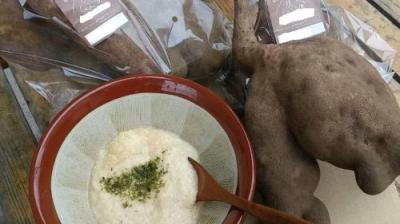 信州産　短形自然薯 【山の芋】 (約5〜6kg)　【送料無料(一部地域は有料)】