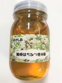 【送料無料】信州産ミツバチの贈り物「アカシアの花粉から集めたハチミツ」600g